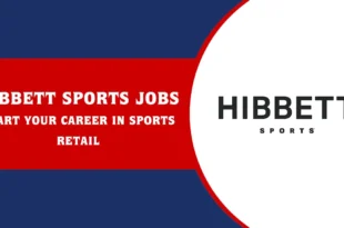 hibbett sports job application online